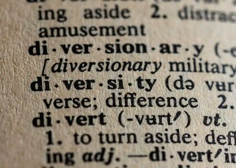 A picture of a dictionary, highlighting the word Diversity
